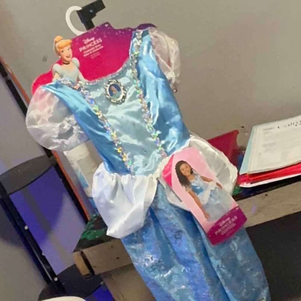 Disney Blue Princess Kids Dance Costume